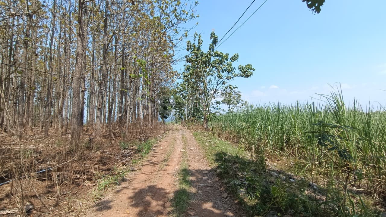 WhatsApp Image 2025-09-25 at 15.11.37