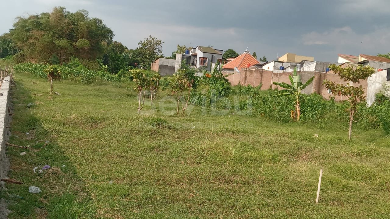 WhatsApp Image 2025-09-27 at 09.05.08