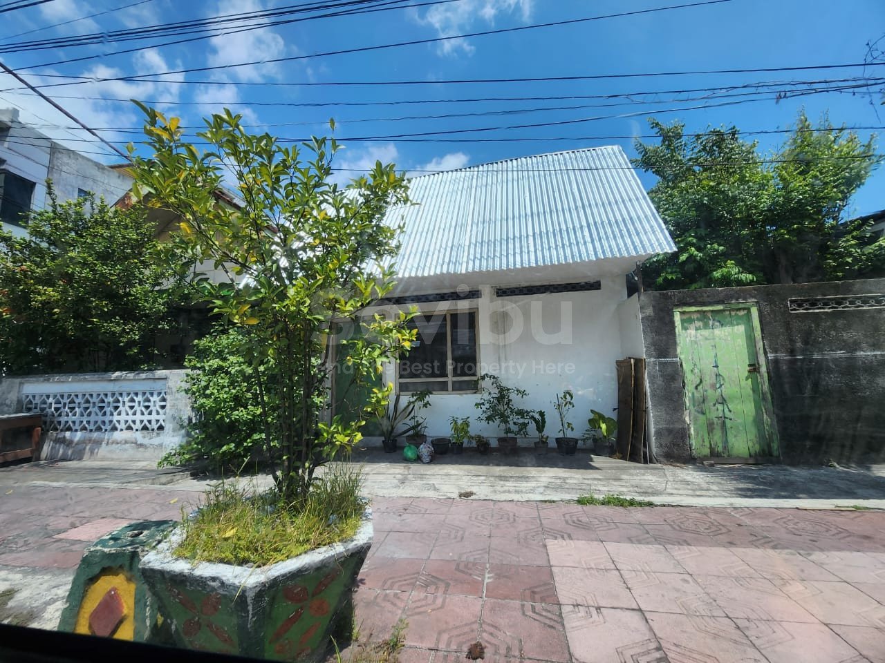 WhatsApp Image 2025-10-03 at 11.07.48 AM