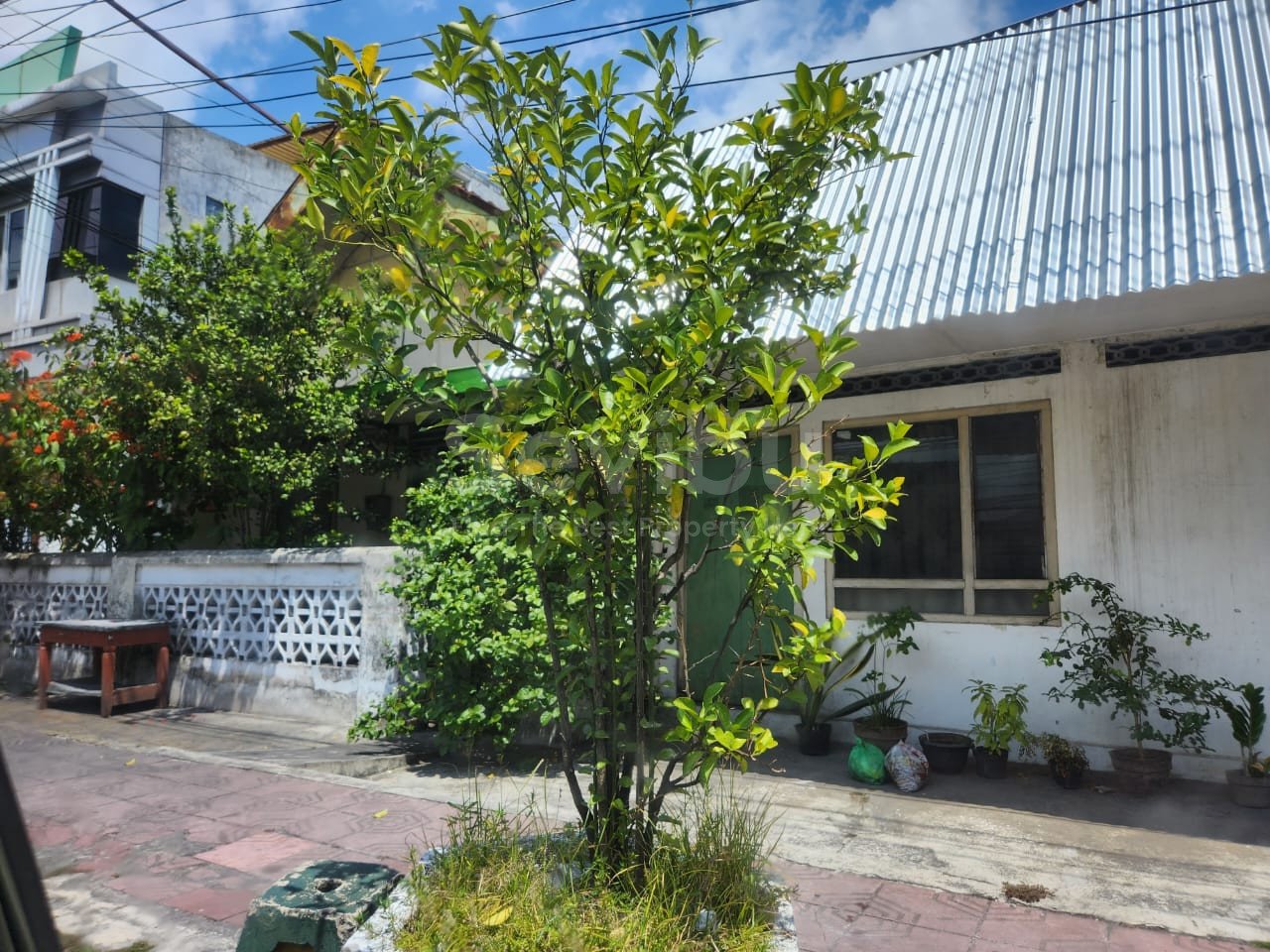 WhatsApp Image 2025-10-03 at 11.07.49 AM (1)