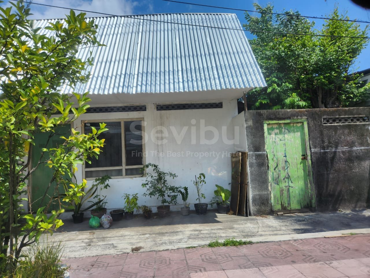 WhatsApp Image 2025-10-03 at 11.07.49 AM