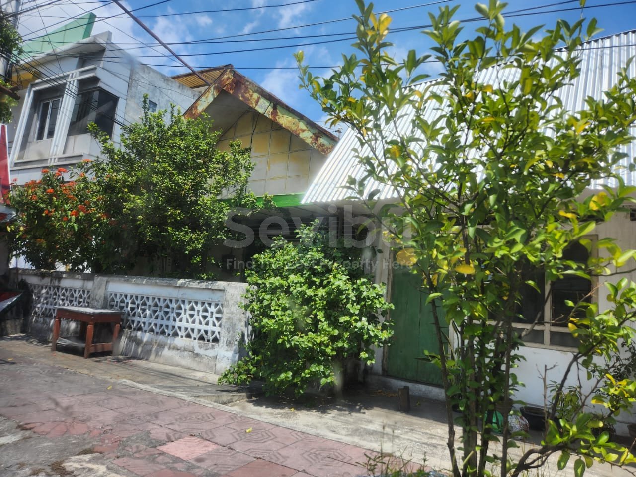 WhatsApp Image 2025-10-03 at 11.07.50 AM