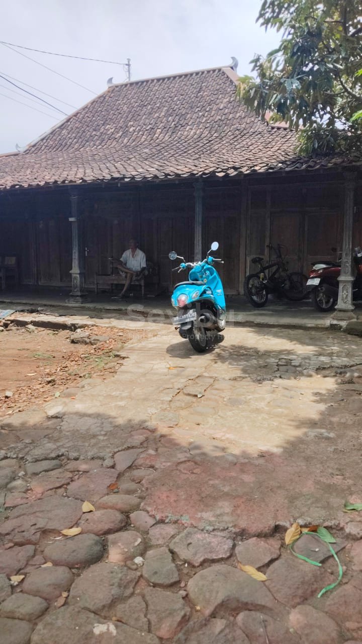 WhatsApp Image 2025-10-04 at 13.02.41