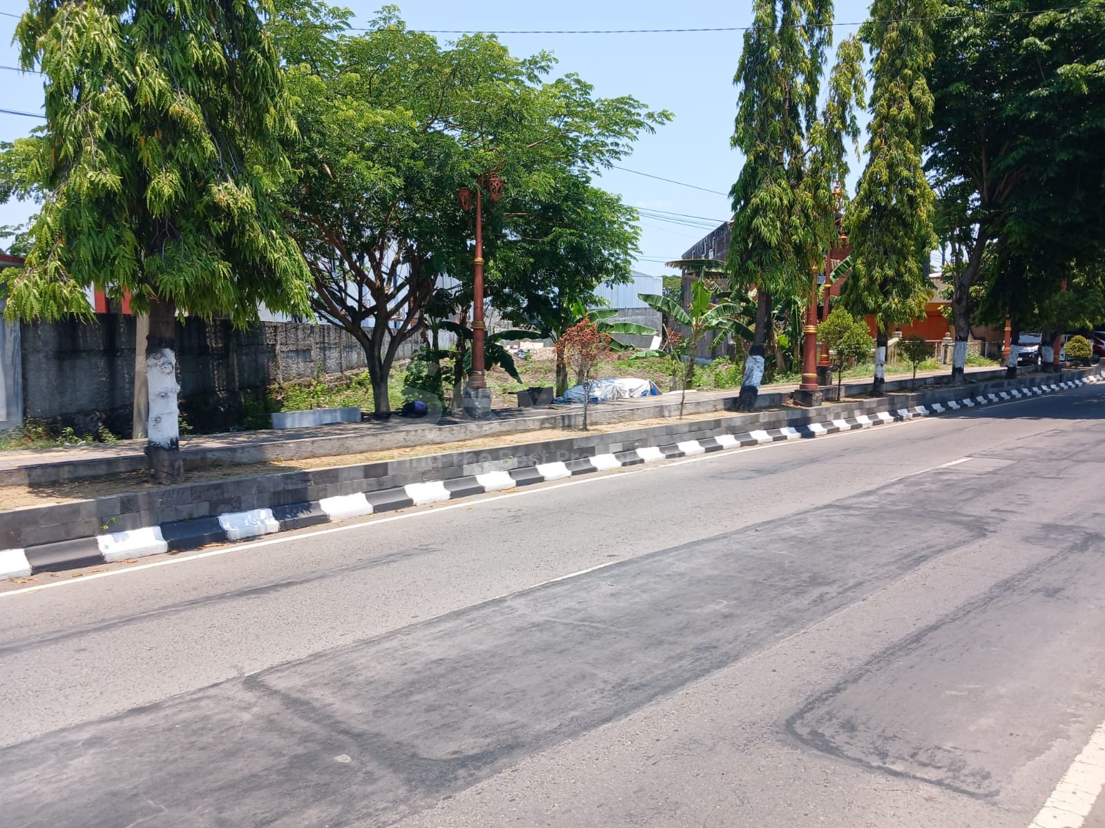 WhatsApp Image 2025-10-09 at 16.33.05