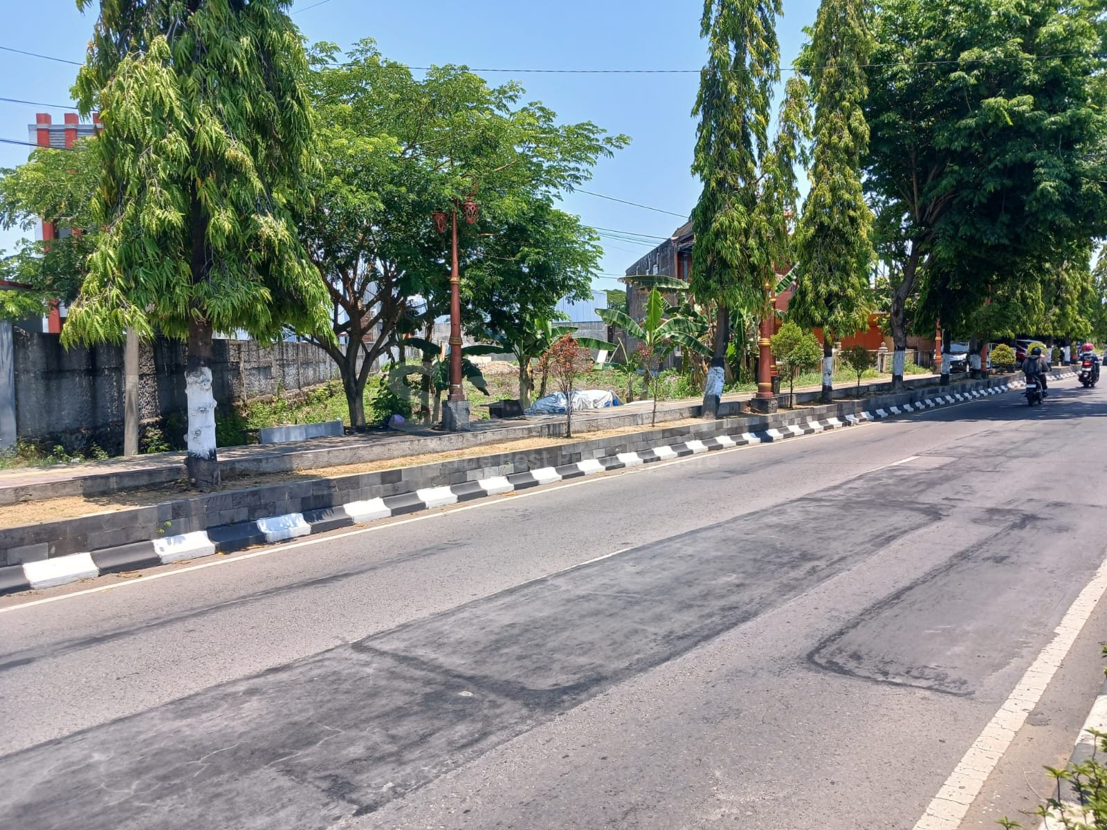 WhatsApp Image 2025-10-09 at 16.33.06