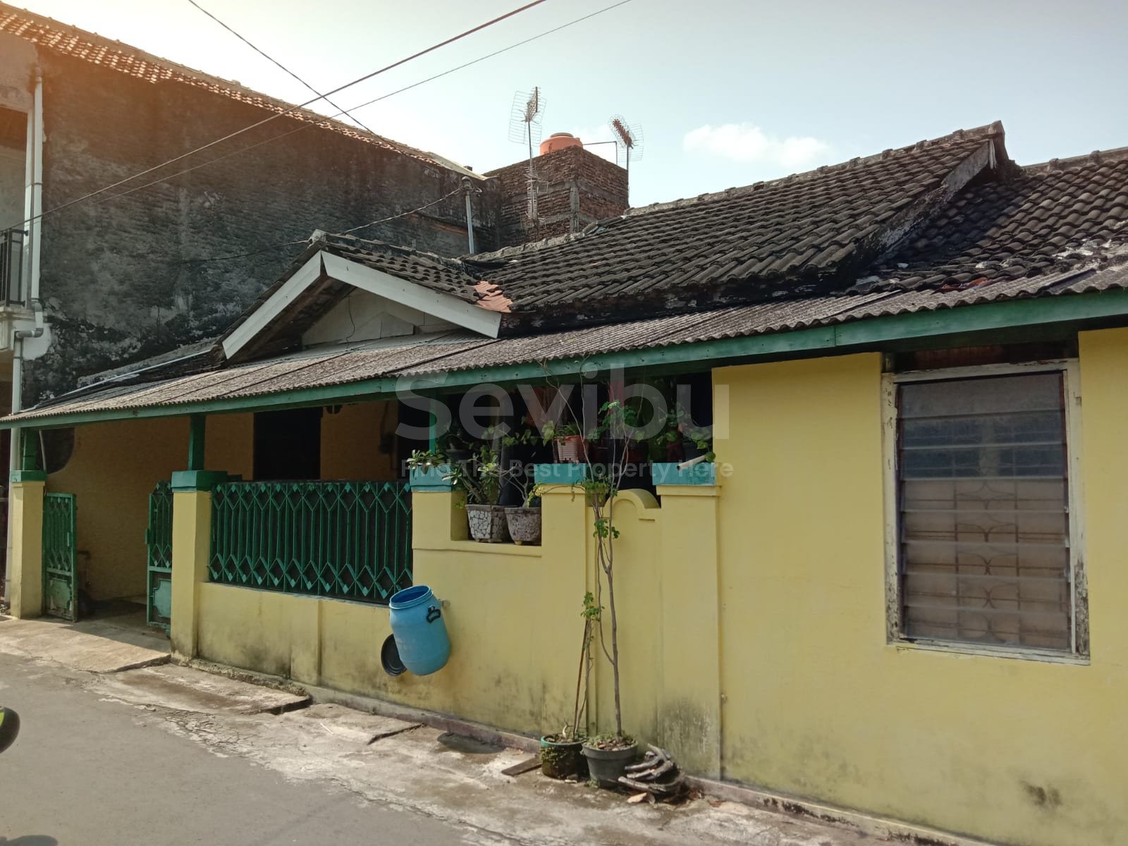 WhatsApp Image 2025-10-14 at 11.35.06