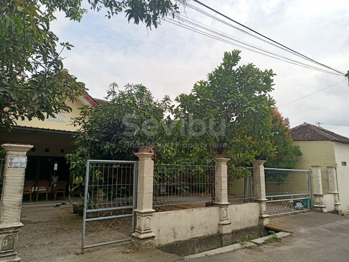 WhatsApp Image 2025-10-18 at 12.31.44 (2)