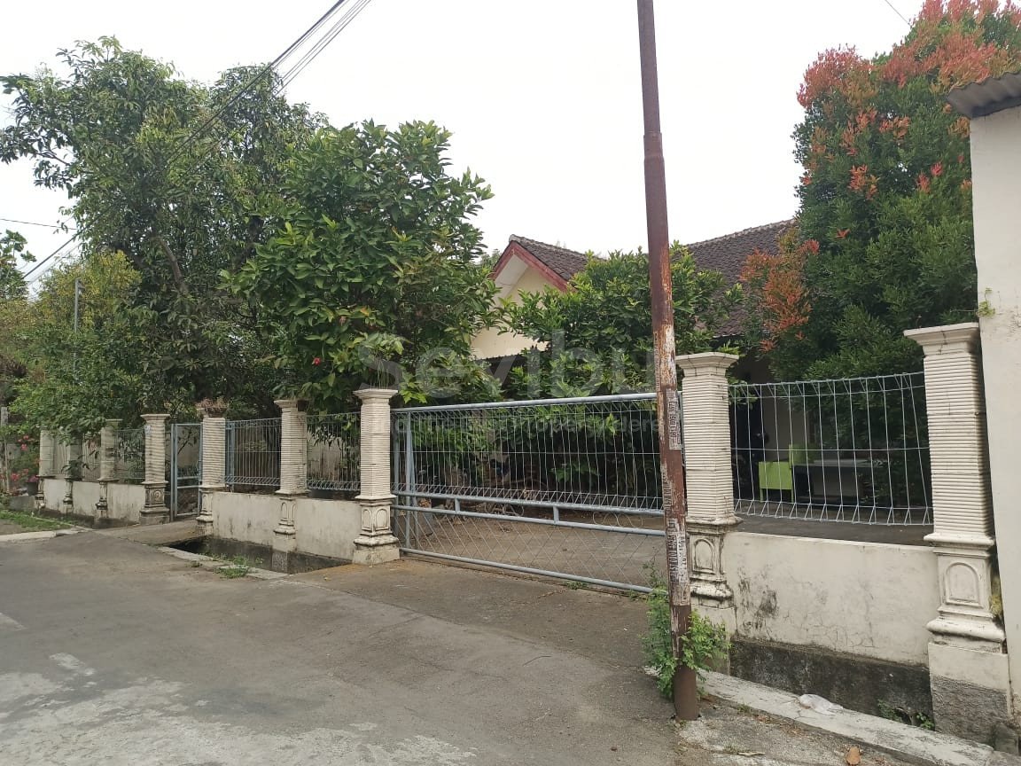 WhatsApp Image 2025-10-18 at 12.31.44