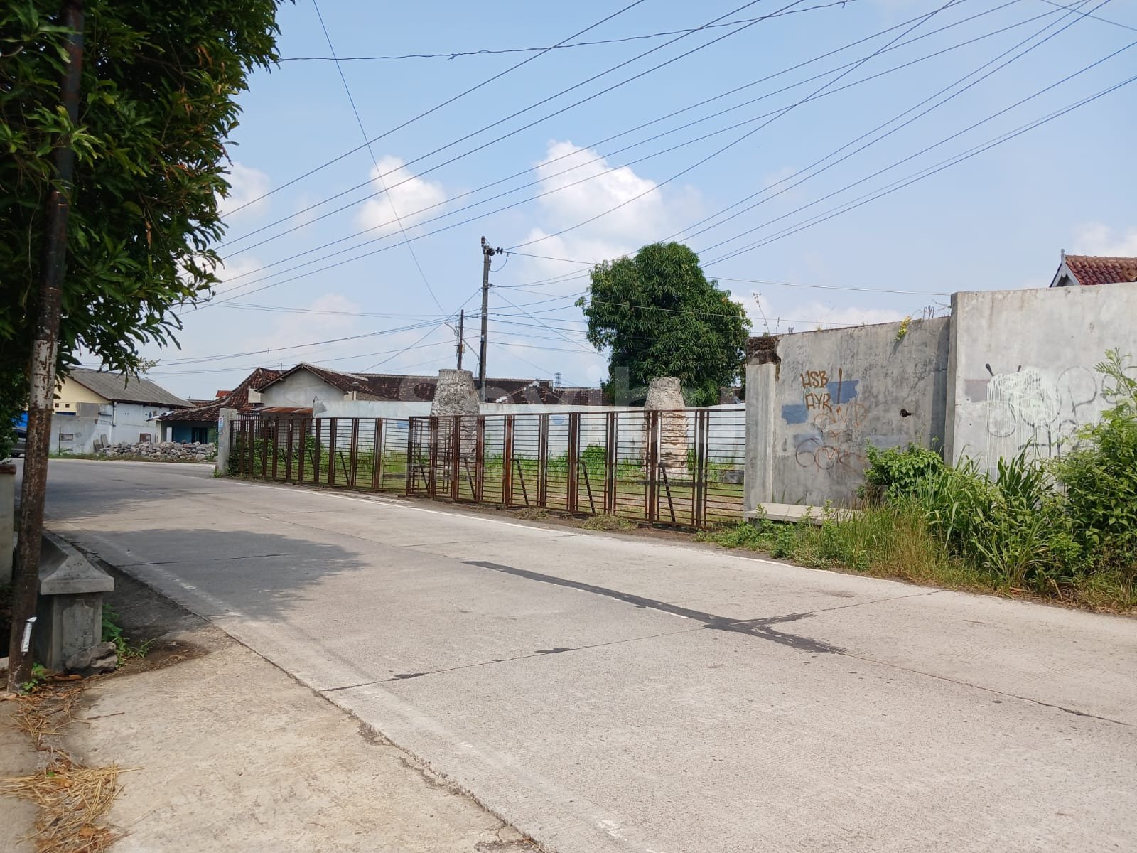 WhatsApp Image 2025-10-19 at 15.24.09 (1)