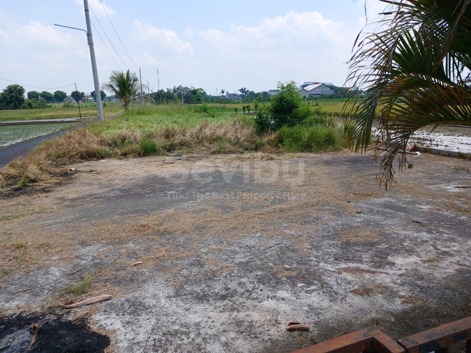 WhatsApp Image 2025-10-19 at 15.24.13