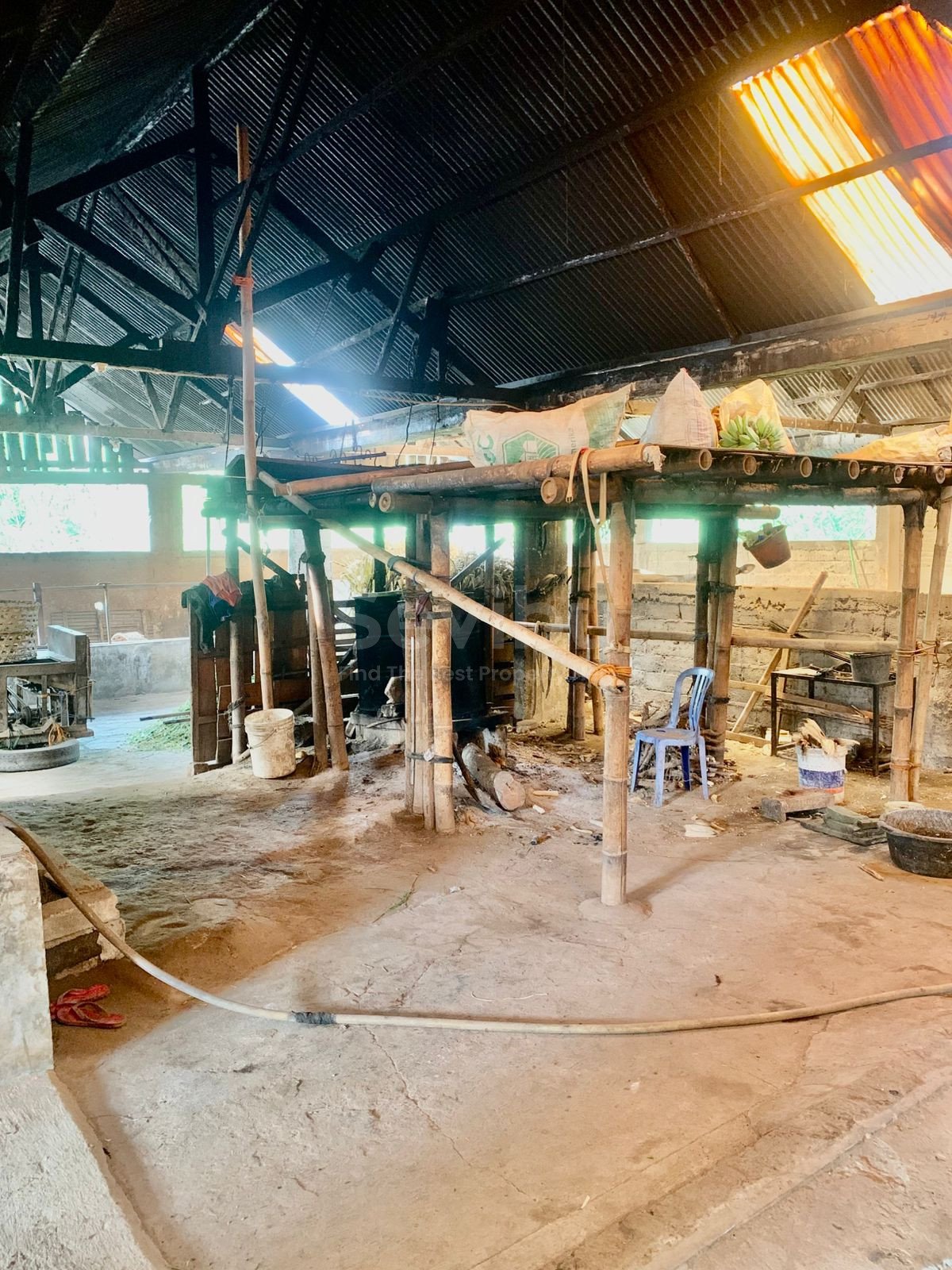 WhatsApp Image 2025-10-23 at 1.27.17 PM (1)