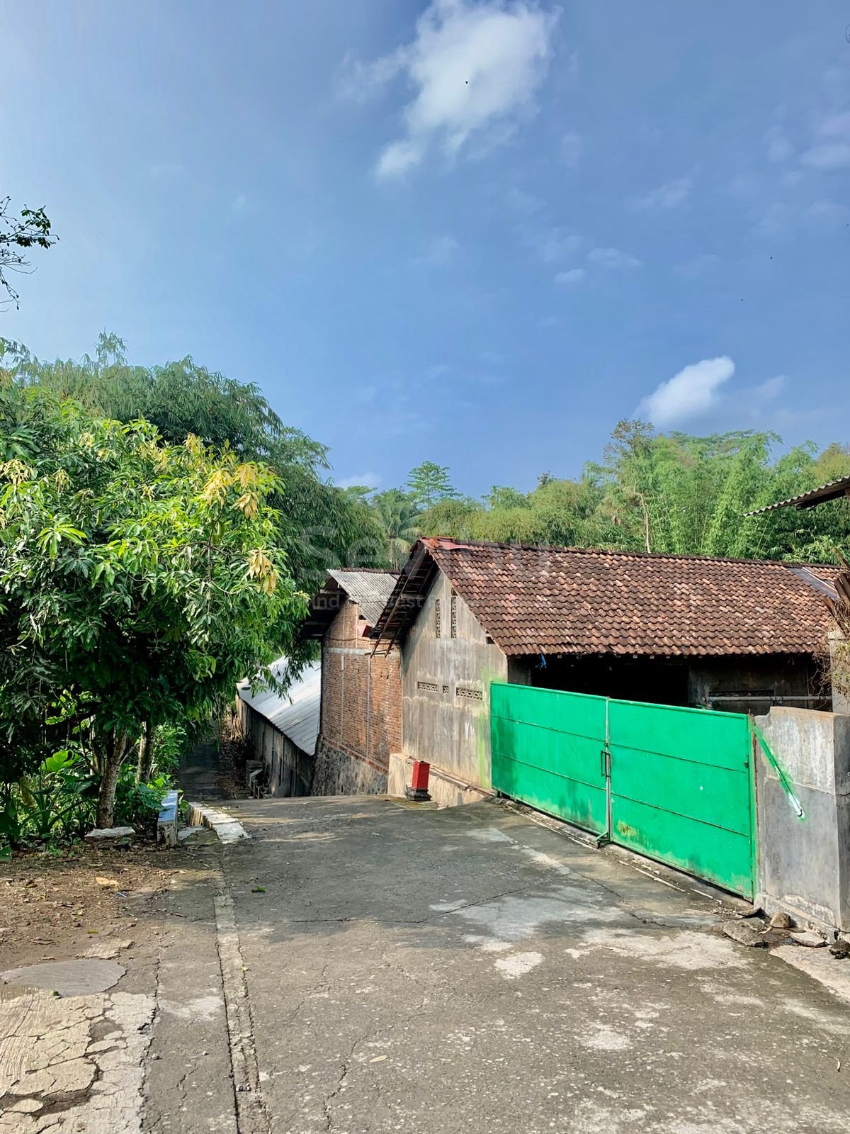 WhatsApp Image 2025-10-23 at 1.27.17 PM