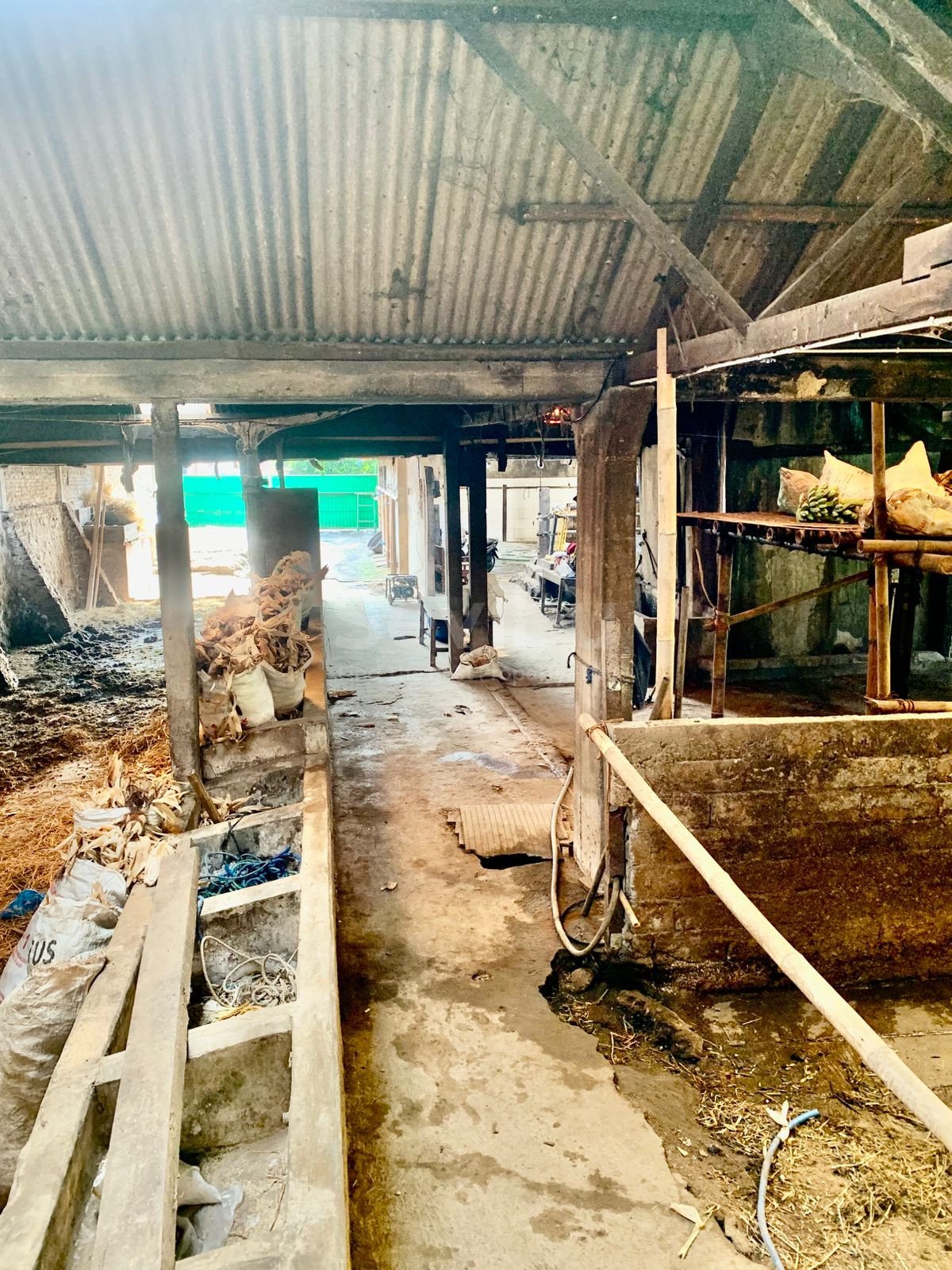 WhatsApp Image 2025-10-23 at 1.27.18 PM (1)