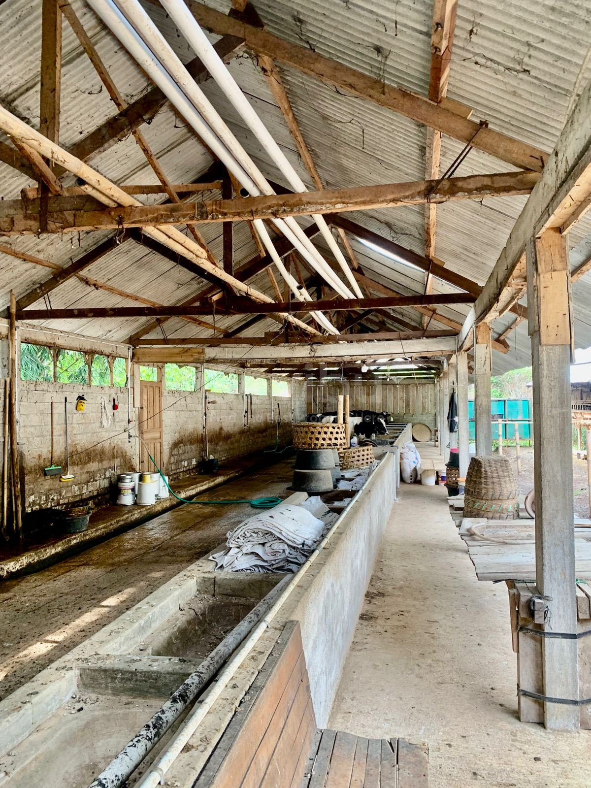 WhatsApp Image 2025-10-23 at 1.27.18 PM (2)