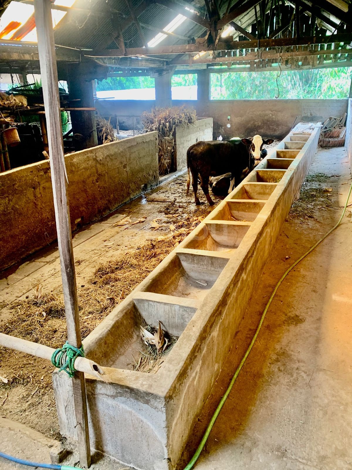 WhatsApp Image 2025-10-23 at 1.27.18 PM