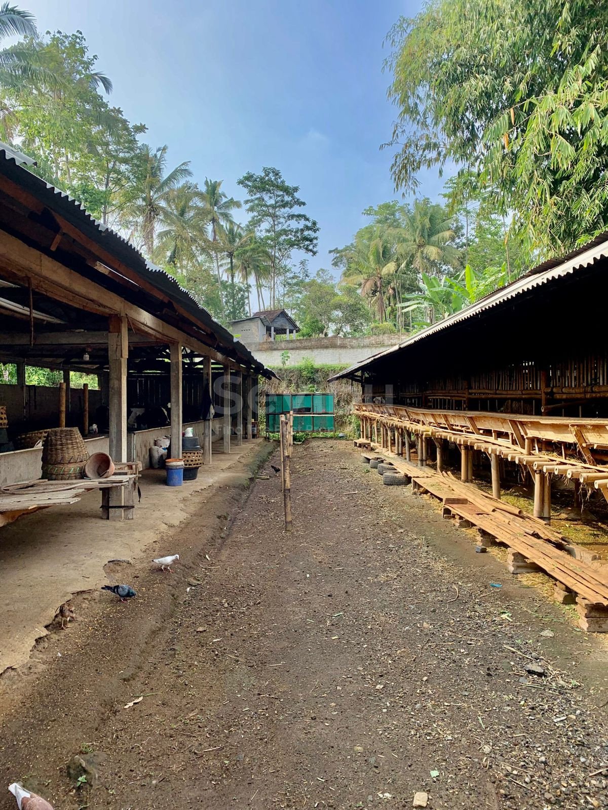 WhatsApp Image 2025-10-23 at 1.27.19 PM (1)