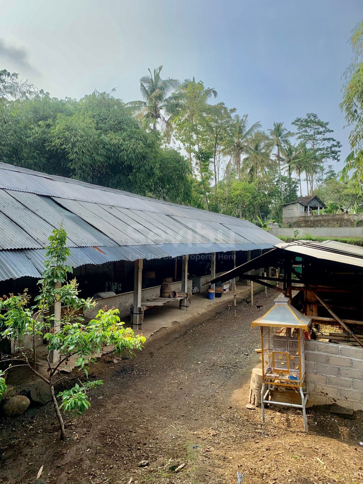 WhatsApp Image 2025-10-23 at 1.27.19 PM (2)