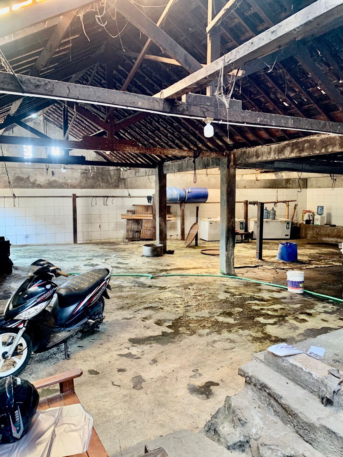 WhatsApp Image 2025-10-23 at 1.27.19 PM (3)