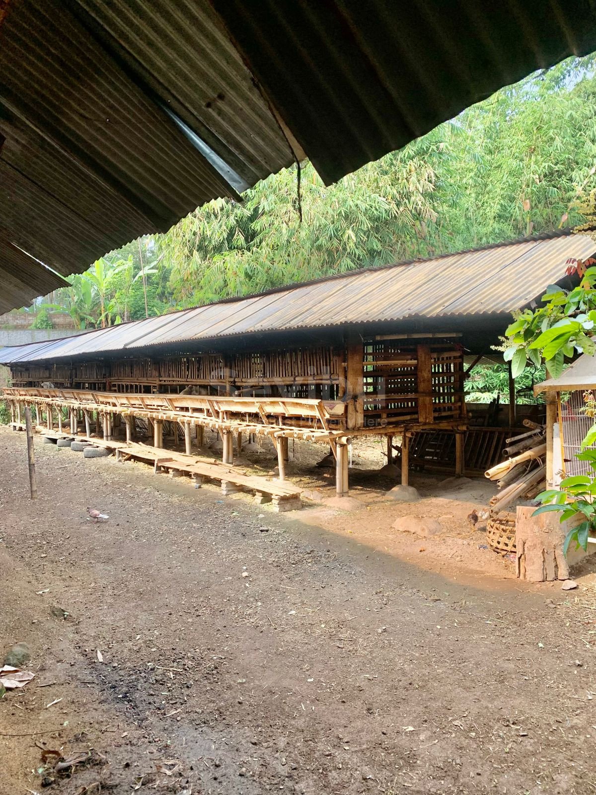 WhatsApp Image 2025-10-23 at 1.27.20 PM