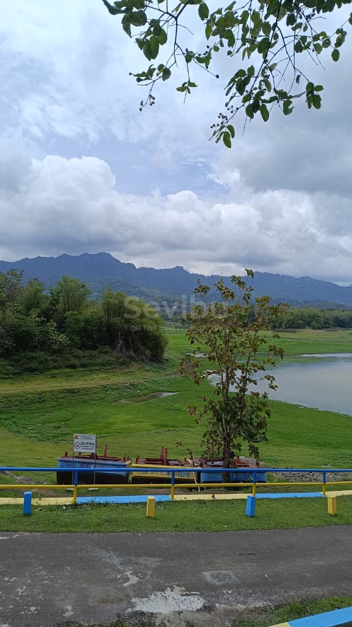 WhatsApp Image 2025-10-27 at 2.27.36 PM