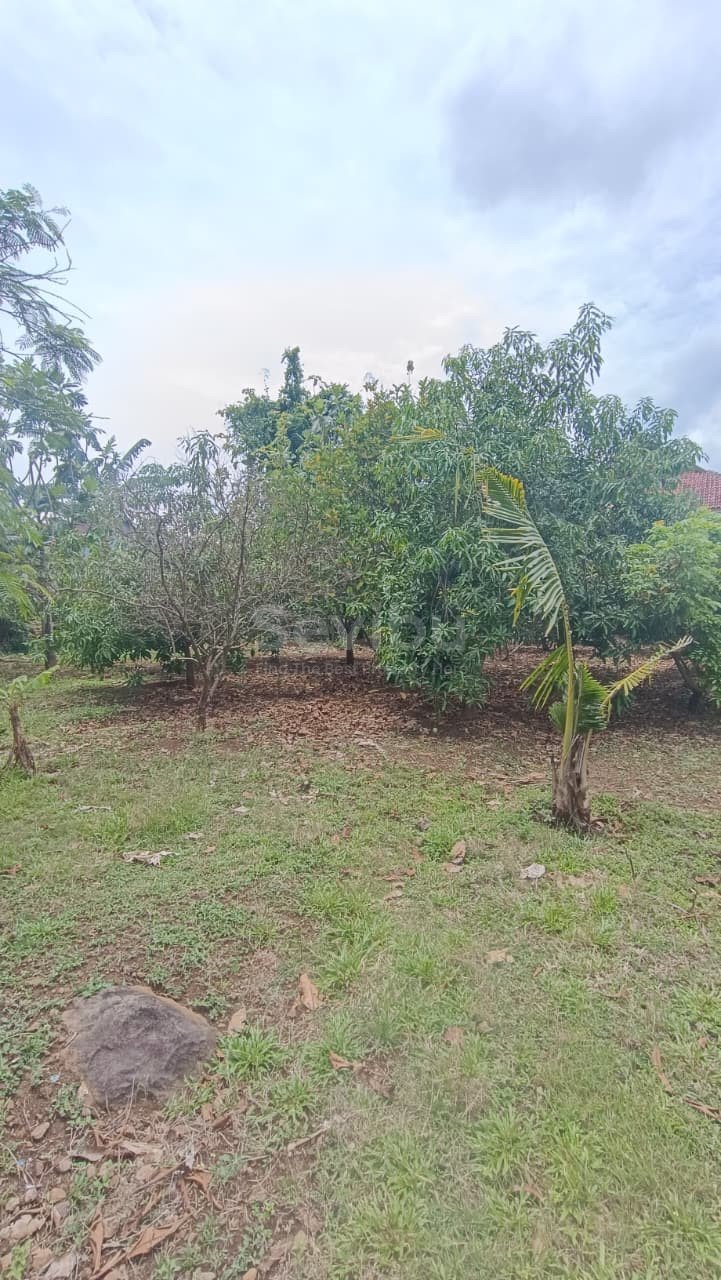 WhatsApp Image 2025-10-27 at 2.27.50 PM (1)