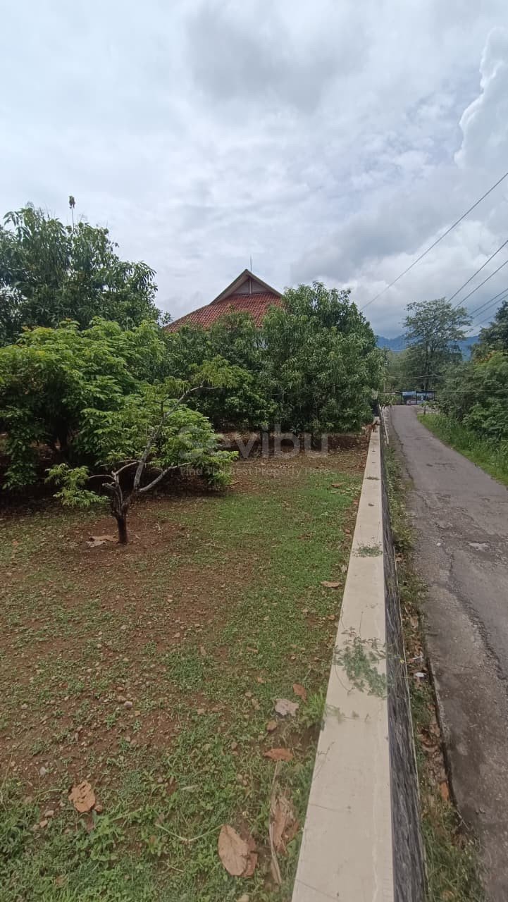 WhatsApp Image 2025-10-27 at 2.27.50 PM (2)