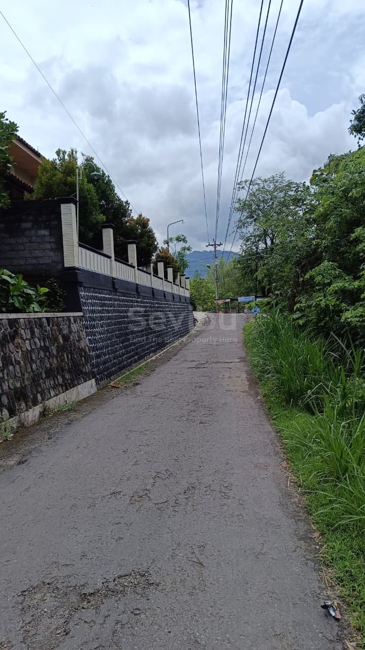 WhatsApp Image 2025-10-27 at 2.27.50 PM