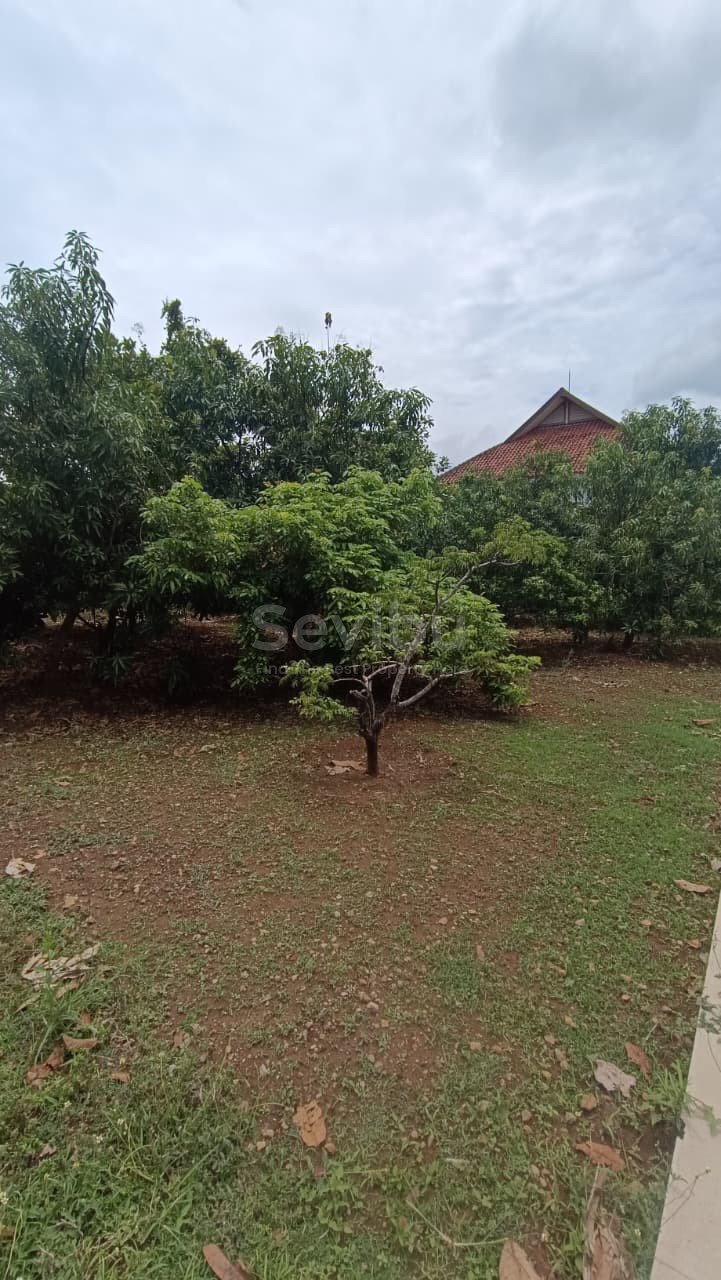 WhatsApp Image 2025-10-27 at 2.27.51 PM