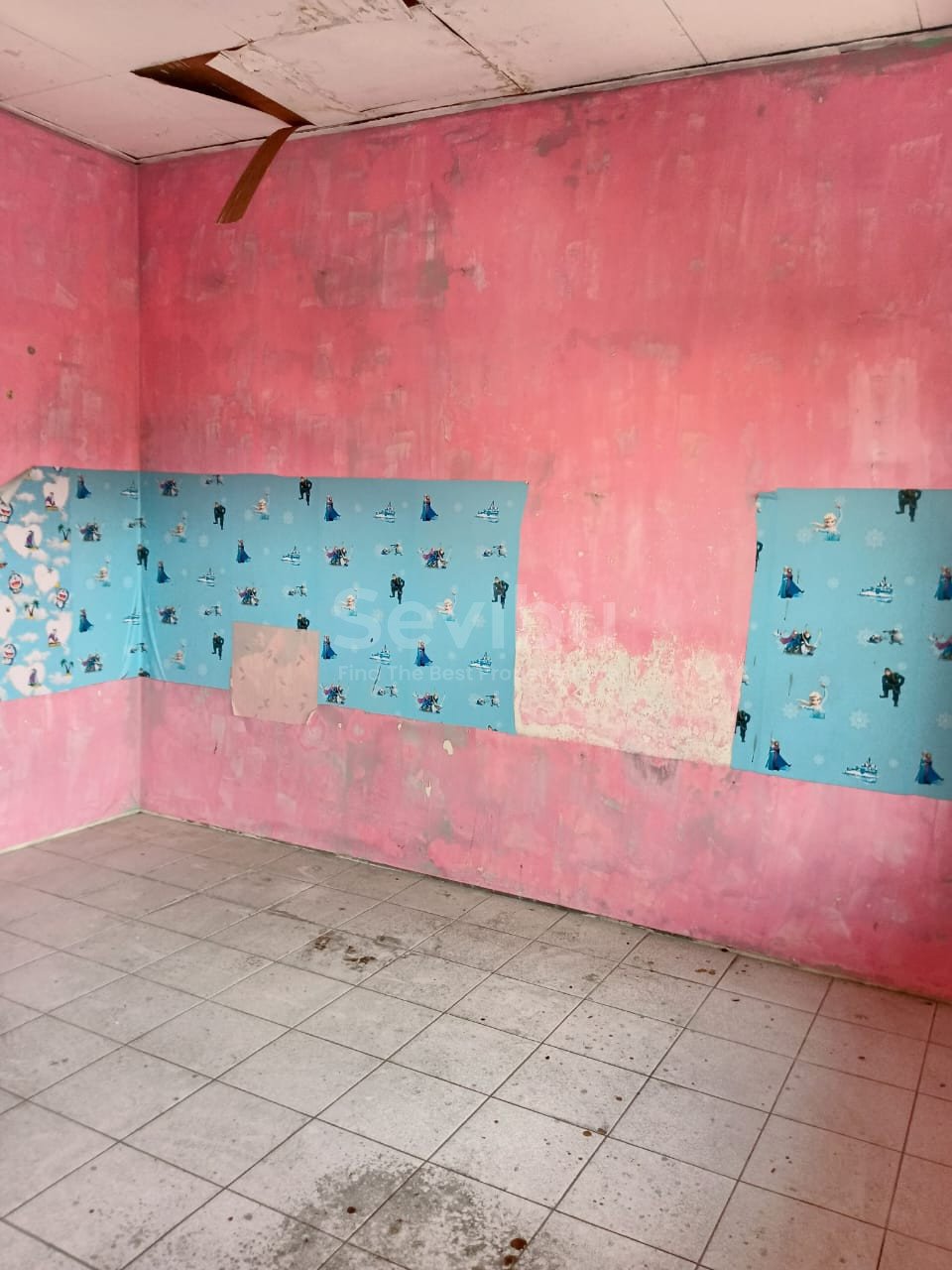 95d01ccb-dffa-4091-8f08-51acd21bda40