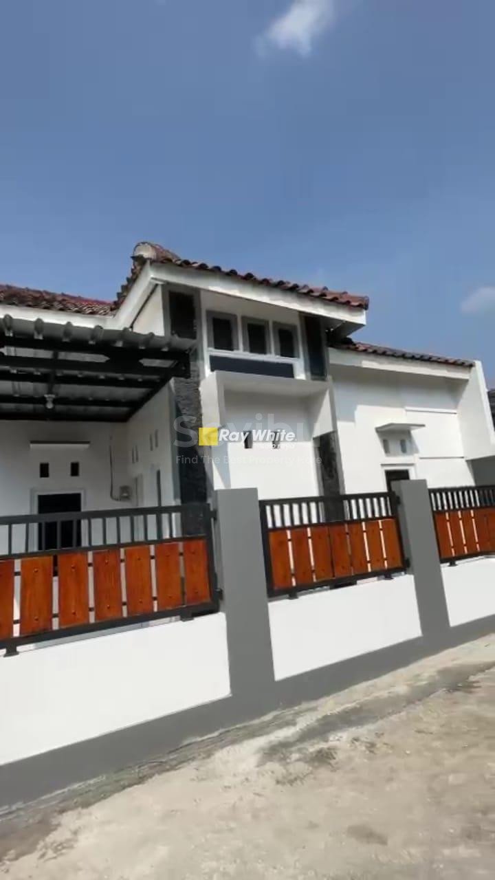 WhatsApp-Image-2023-08-14-at-15.52.58-2