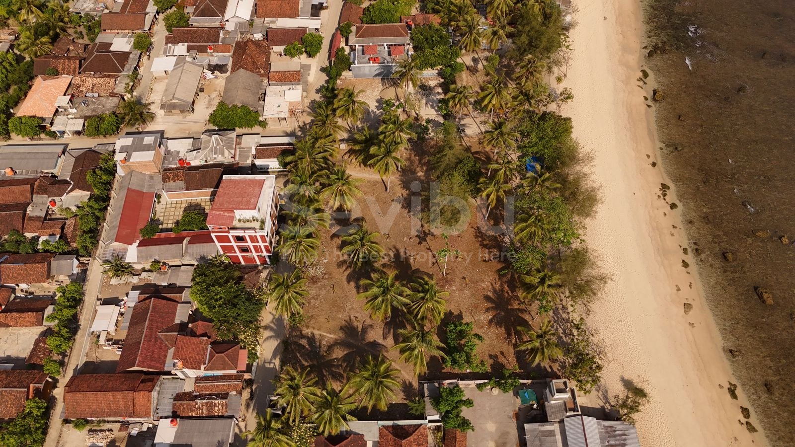 WhatsApp Image 2025-10-27 at 9.14.12 AM