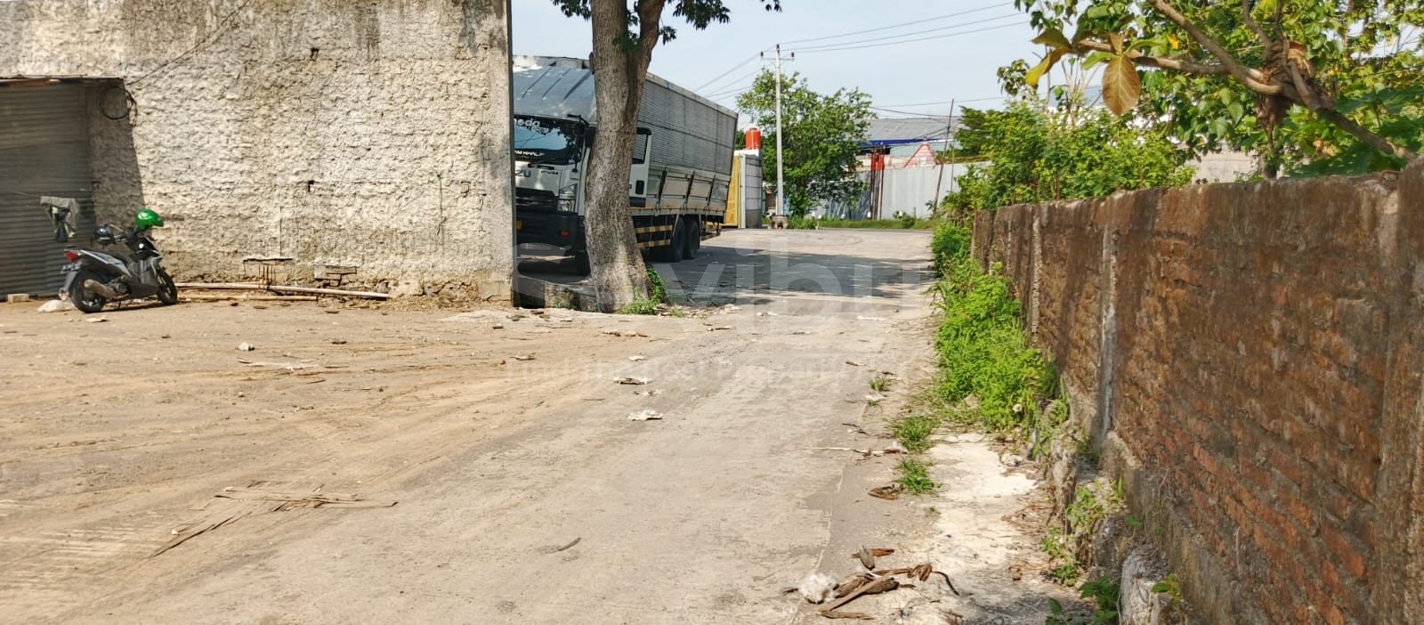 WhatsApp Image 2025-10-29 at 1.25.52 PM (1)