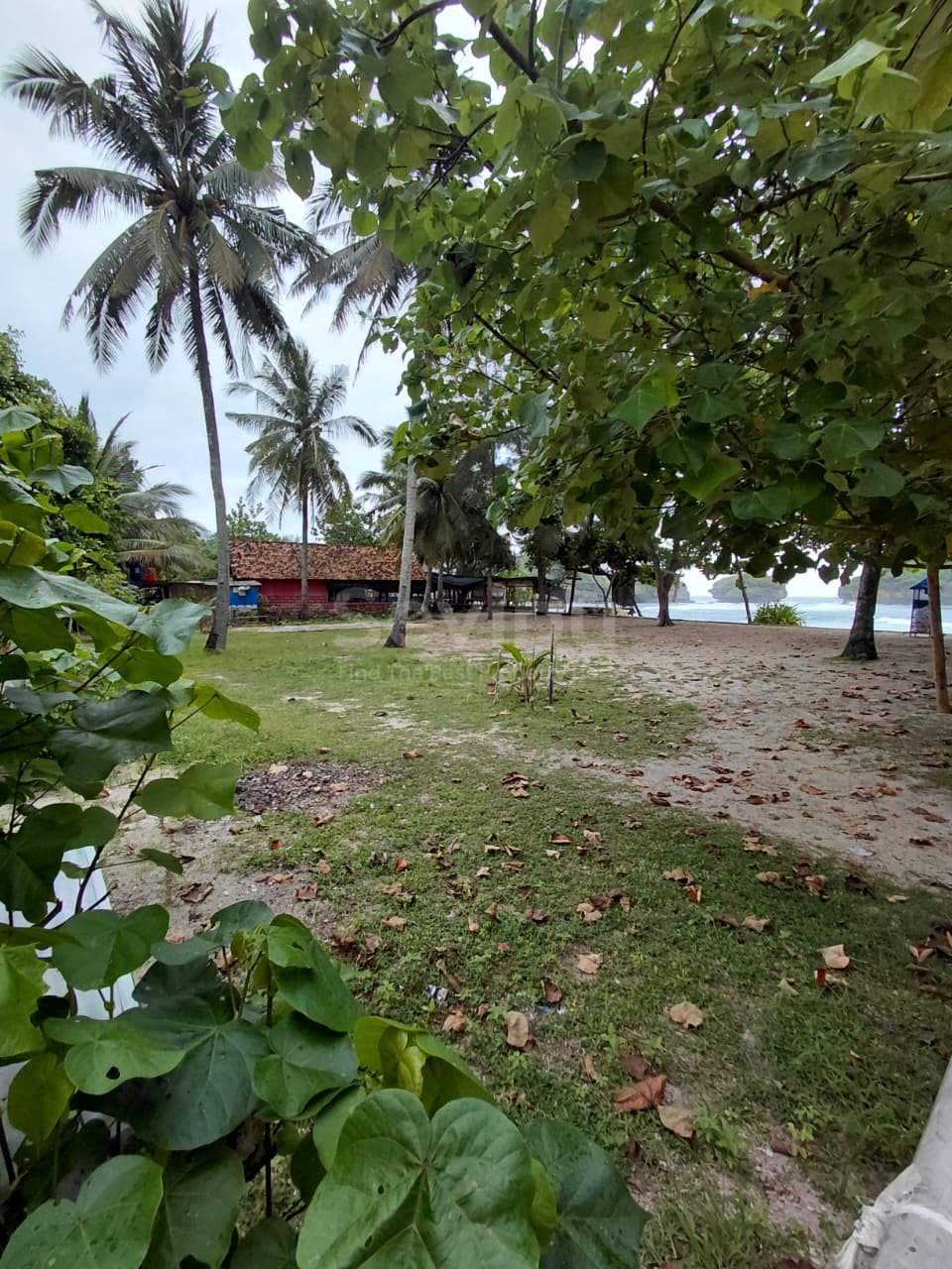 WhatsApp Image 2025-11-01 at 11.30.13 AM (2)