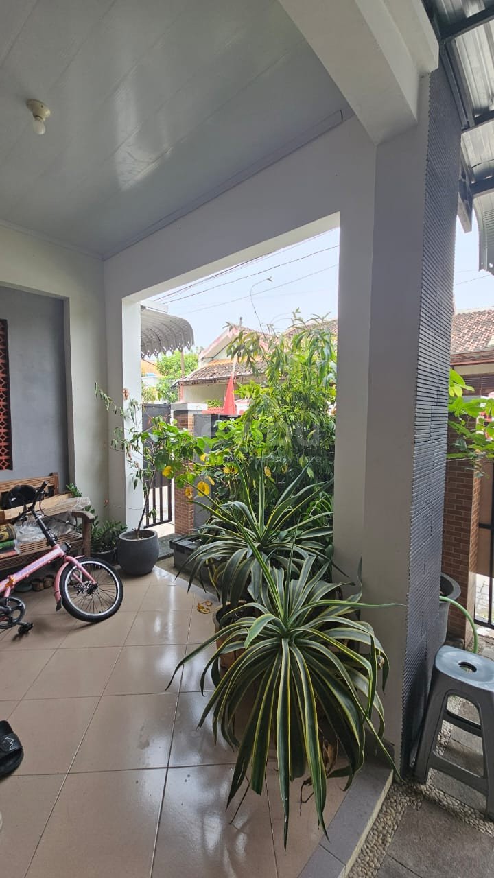 WhatsApp Image 2025-11-05 at 3.04.38 PM(1)