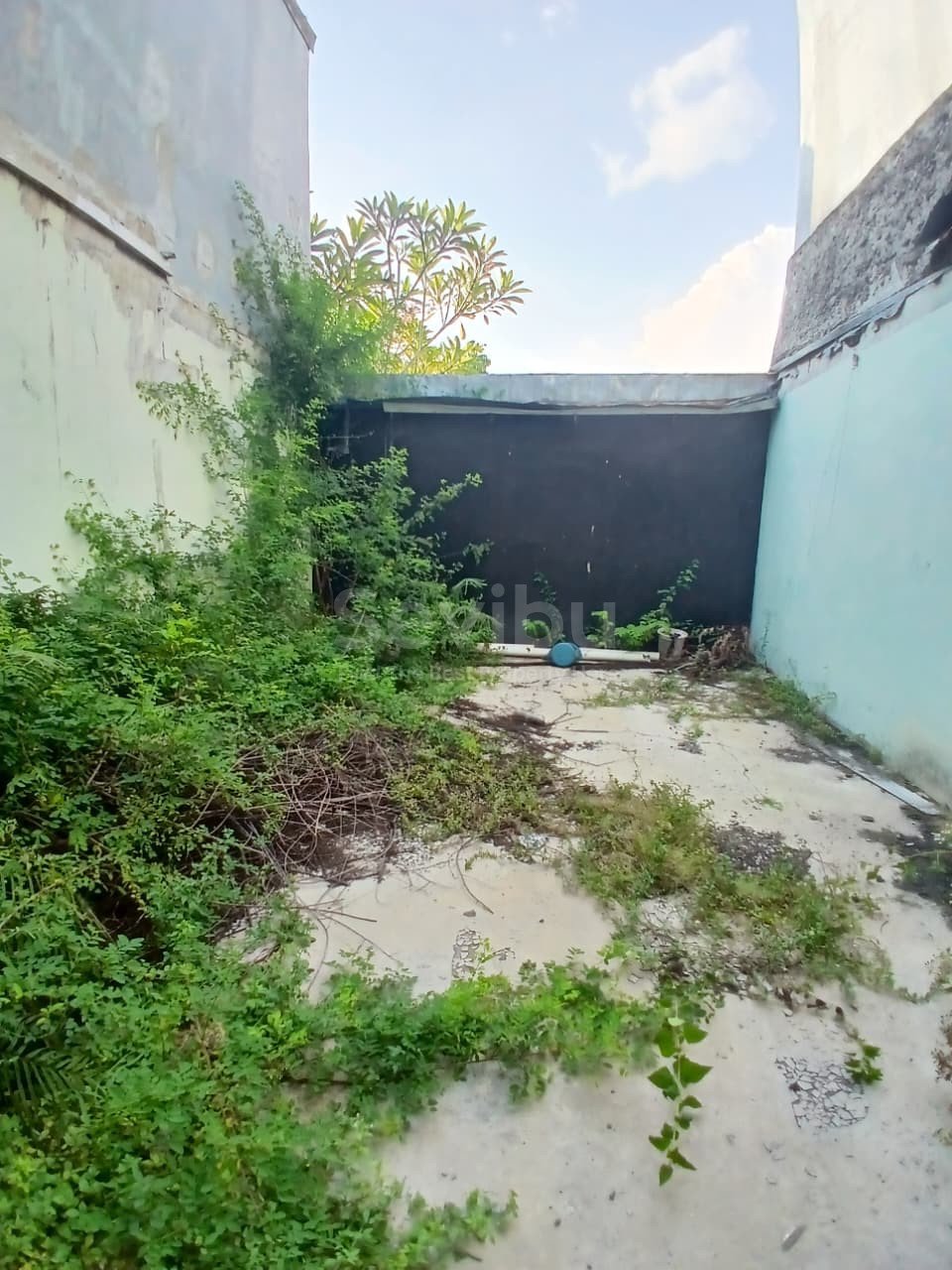 WhatsApp Image 2025-11-07 at 11.18.00