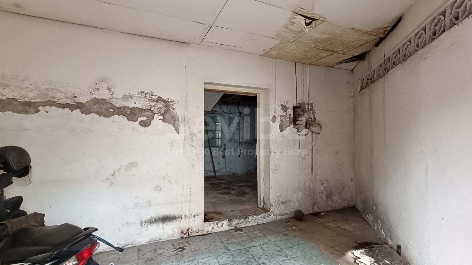 WhatsApp Image 2025-11-07 at 12.19.29