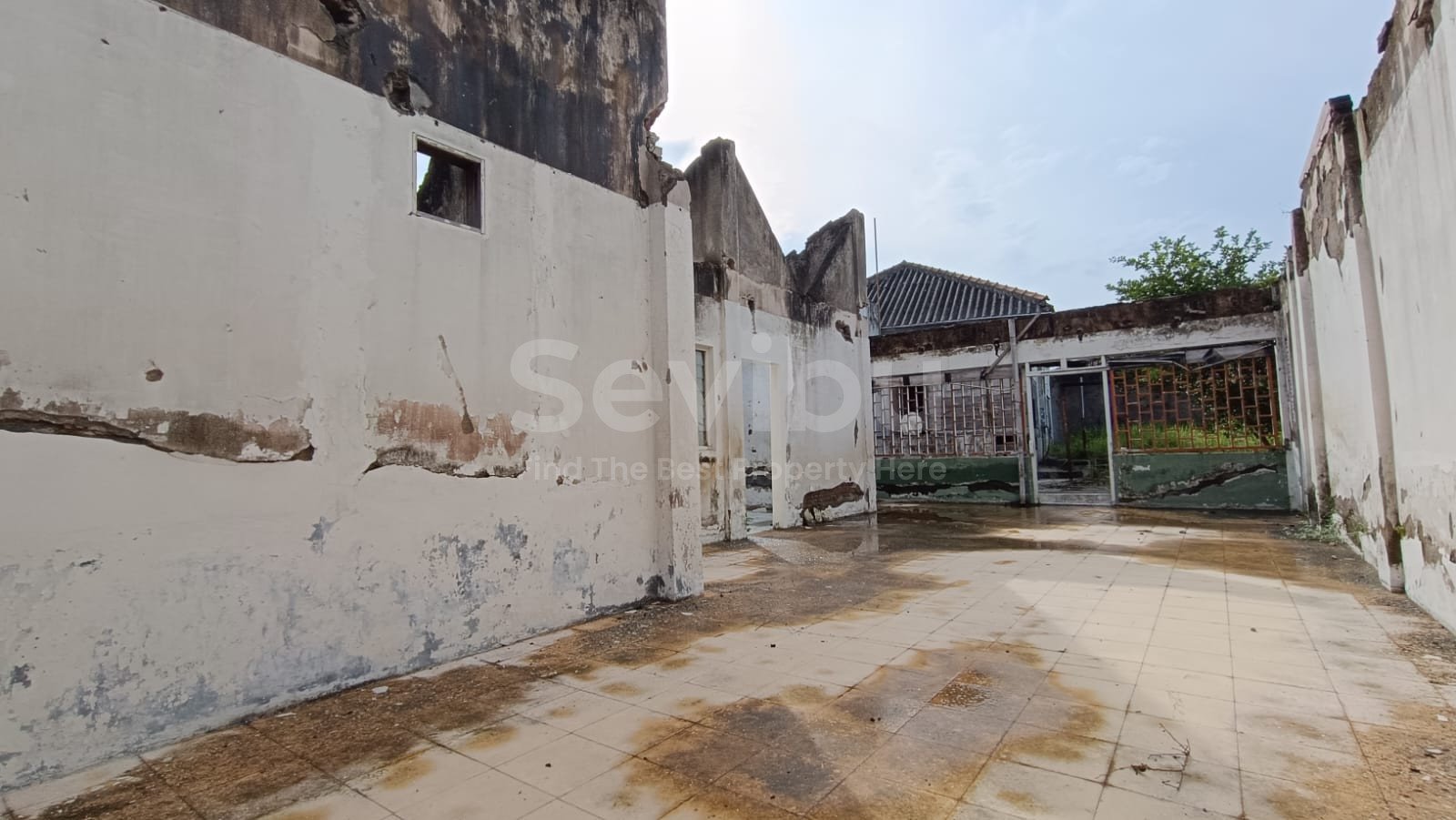 WhatsApp Image 2025-11-07 at 12.19.32