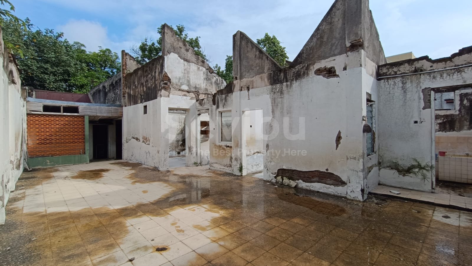 WhatsApp Image 2025-11-07 at 12.19.33