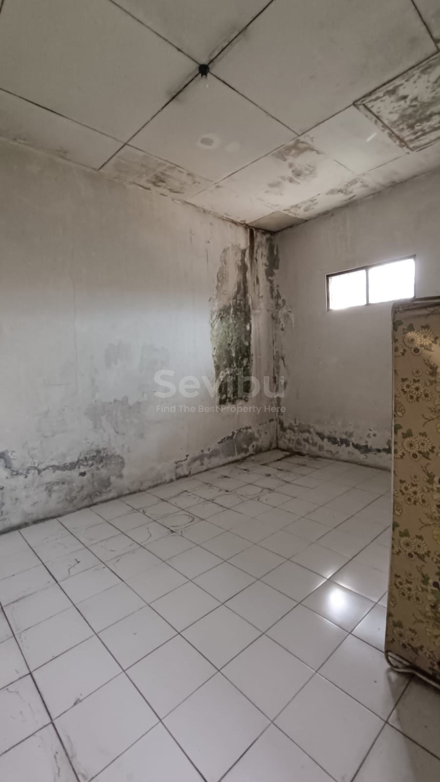 WhatsApp Image 2025-11-07 at 12.19.41 (1)