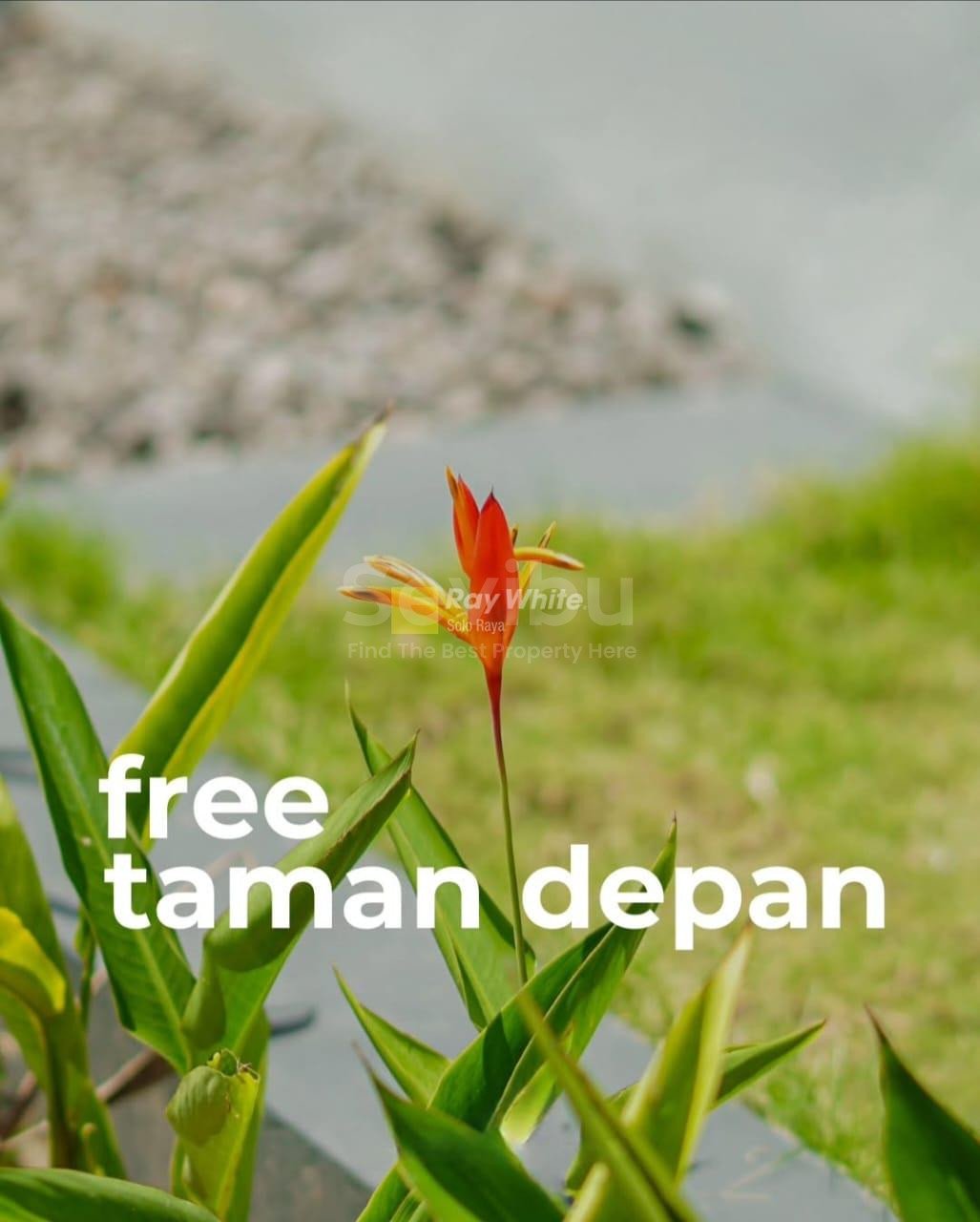 WhatsApp-Image-2025-11-07-at-12.51.04