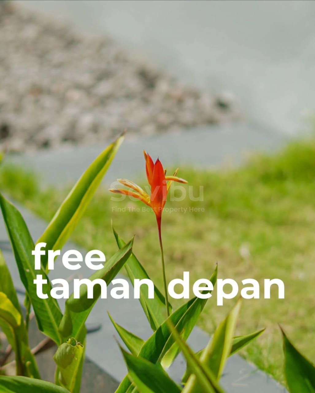 WhatsApp Image 2025-11-07 at 12.51.04