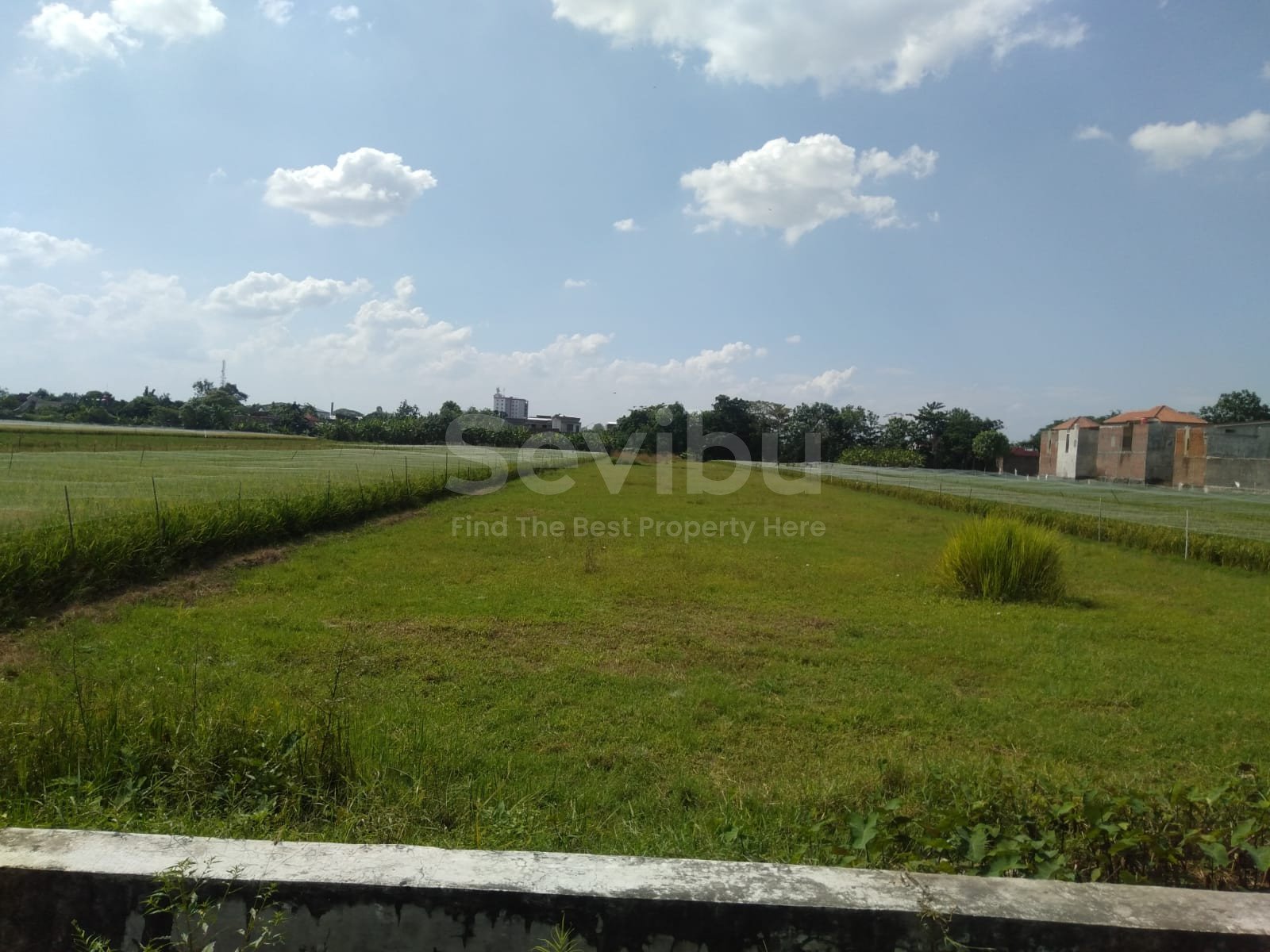 WhatsApp Image 2025-11-10 at 10.39.36 (1)