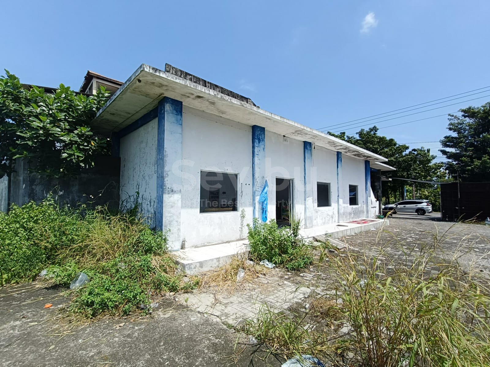 WhatsApp Image 2025-11-12 at 16.10.52