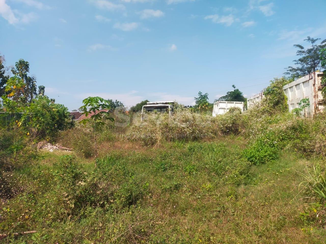 WhatsApp Image 2025-11-13 at 13.28.45 (1)