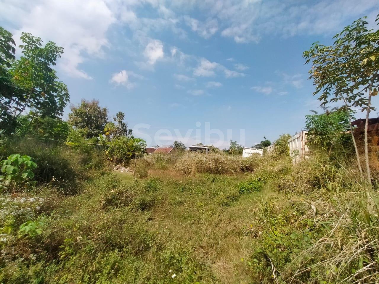 WhatsApp Image 2025-11-13 at 13.28.47 (1)