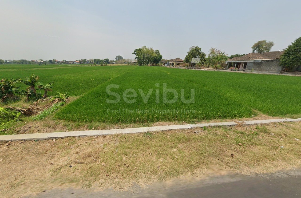 WhatsApp Image 2025-11-15 at 2.23.04 PM (2)