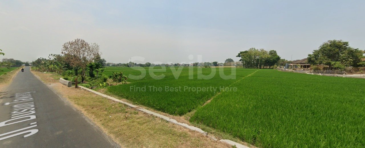 WhatsApp Image 2025-11-15 at 2.23.04 PM