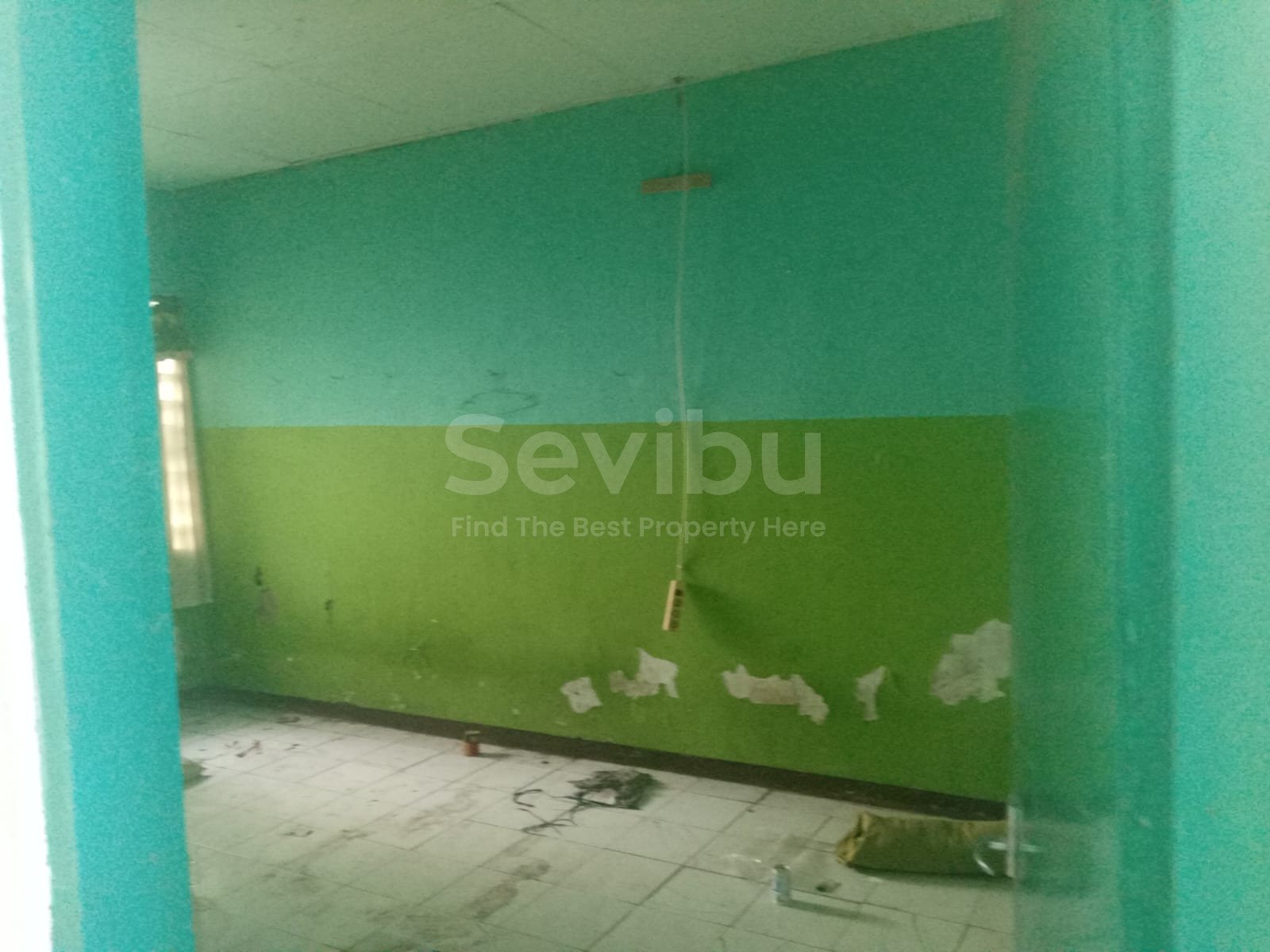 WhatsApp Image 2025-11-17 at 8.37.50 AM