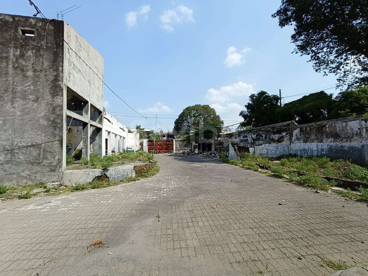 WhatsApp Image 2025-11-22 at 13.24.51