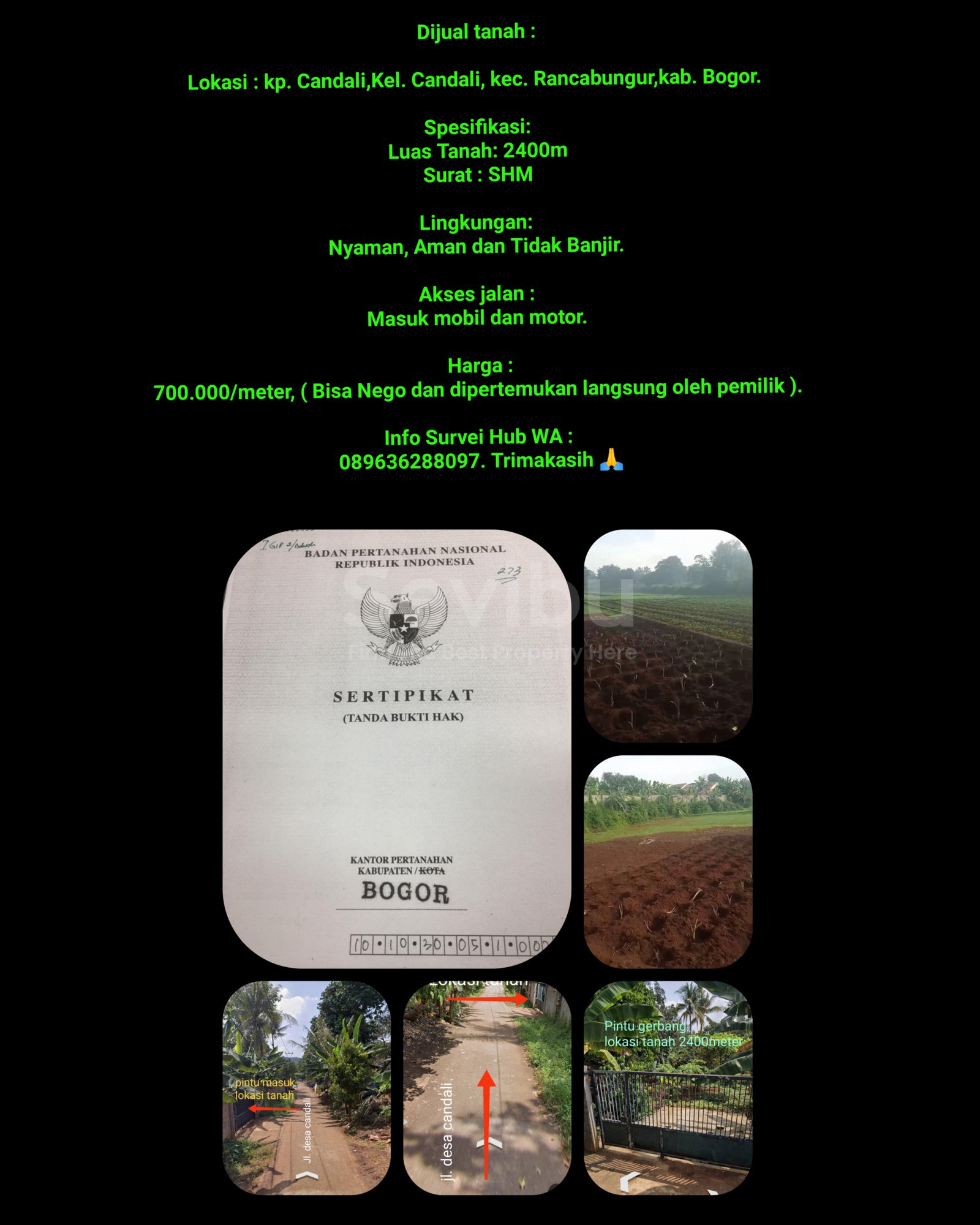 InCollage_20251207_180256369